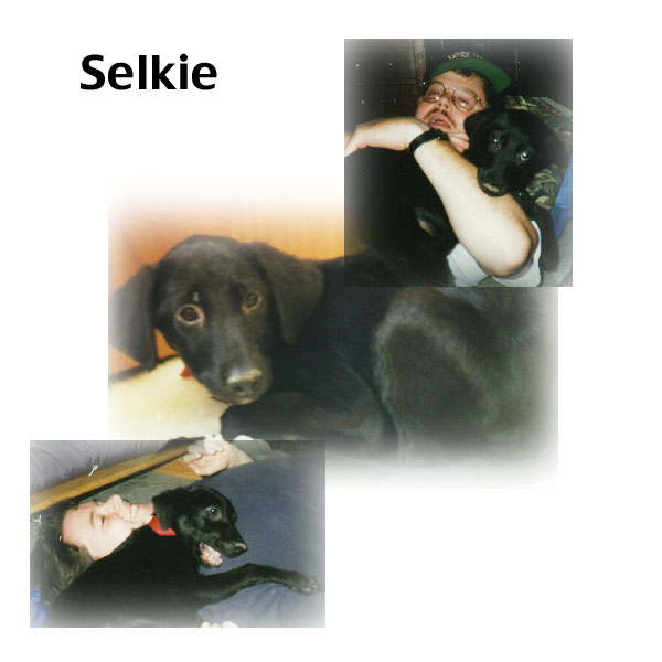 Selkie collage