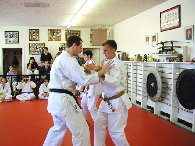 sanchin bunkai