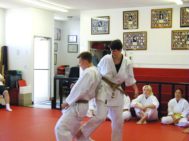 fumikomi geri