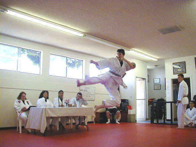 Tobi Yoko Geri