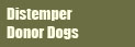 Distemper donor dogs