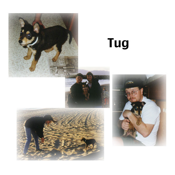 Tug collage