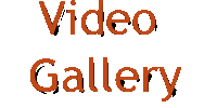 Video Gallery